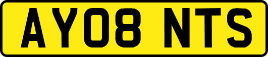 AY08NTS
