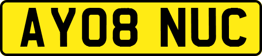 AY08NUC