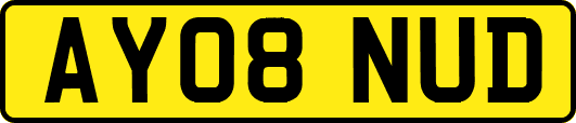 AY08NUD
