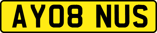 AY08NUS