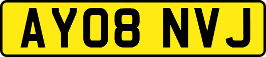 AY08NVJ