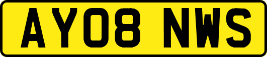 AY08NWS