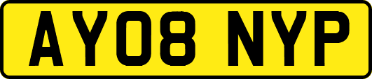 AY08NYP