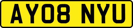 AY08NYU