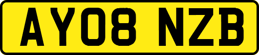 AY08NZB