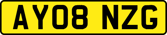 AY08NZG