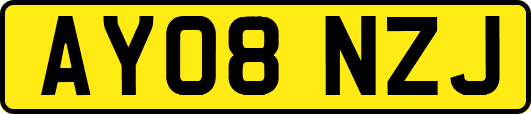 AY08NZJ