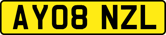 AY08NZL