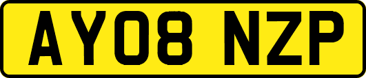 AY08NZP
