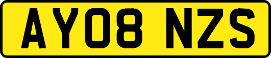 AY08NZS