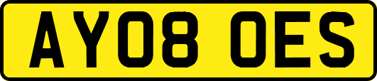AY08OES