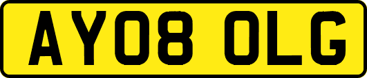 AY08OLG