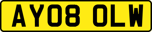 AY08OLW