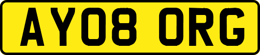 AY08ORG