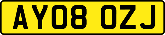 AY08OZJ