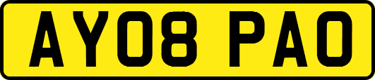 AY08PAO