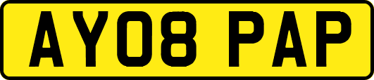 AY08PAP