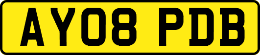 AY08PDB