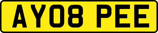 AY08PEE