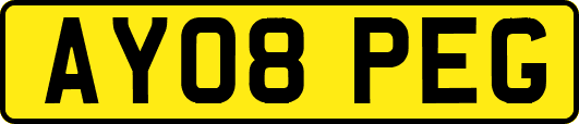 AY08PEG