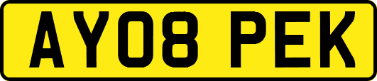 AY08PEK