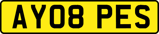AY08PES