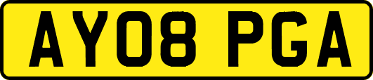 AY08PGA