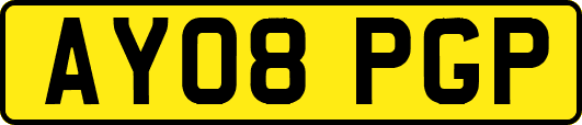 AY08PGP