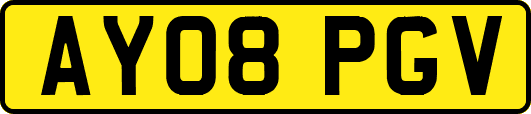 AY08PGV