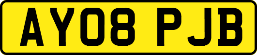AY08PJB