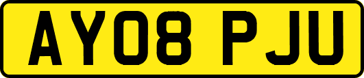 AY08PJU