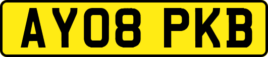 AY08PKB