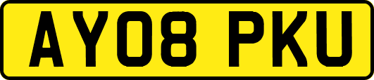 AY08PKU