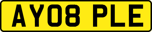 AY08PLE