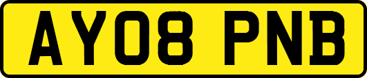 AY08PNB