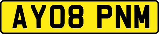 AY08PNM