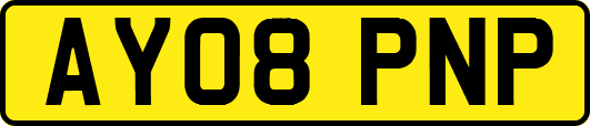 AY08PNP