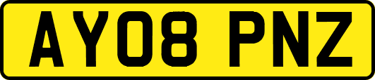 AY08PNZ