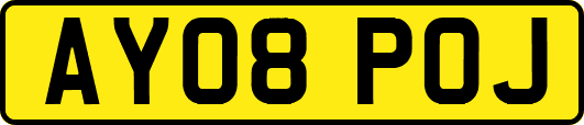 AY08POJ