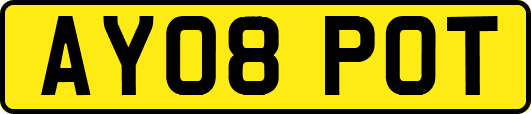 AY08POT