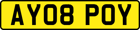 AY08POY