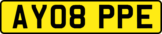 AY08PPE