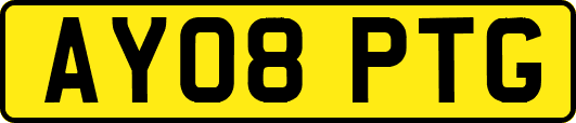 AY08PTG