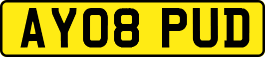 AY08PUD