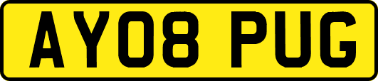 AY08PUG