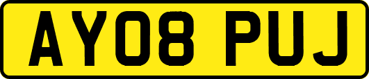 AY08PUJ