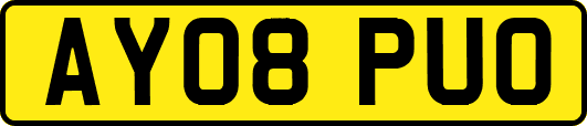 AY08PUO