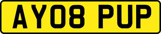 AY08PUP