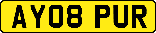 AY08PUR