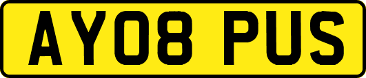 AY08PUS